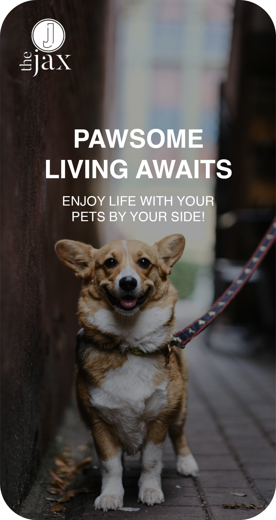 Website-image-blocks_Pet-1